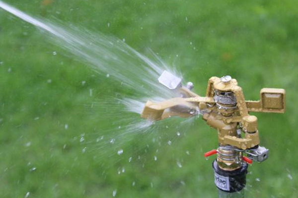 Sprinkler head spraying water